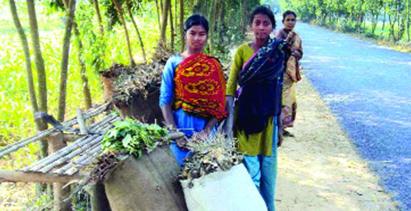 পরিমাণ মতো খাবার পান না দেশের ২ কোটি মানুষ