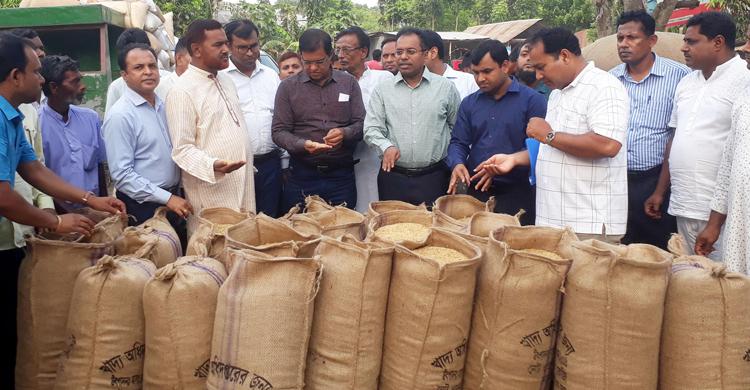 কুষ্টিয়ায় বাড়ি বাড়ি গিয়ে ধান কিনলেন জেলা প্রশাসক