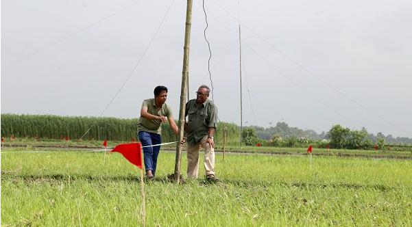 বজ্রপাত থেকে কৃষককে সুরক্ষা দিতে তরুণ প্রকৌশলীর উদ্যোগ