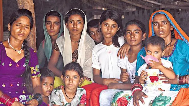 ভারতে নাগরিকত্ব পেতে ব্যর্থ হয়ে পাকিস্তানে ফিরে গেছেন প্রায় ৮০০ হিন্দু শরণার্থী