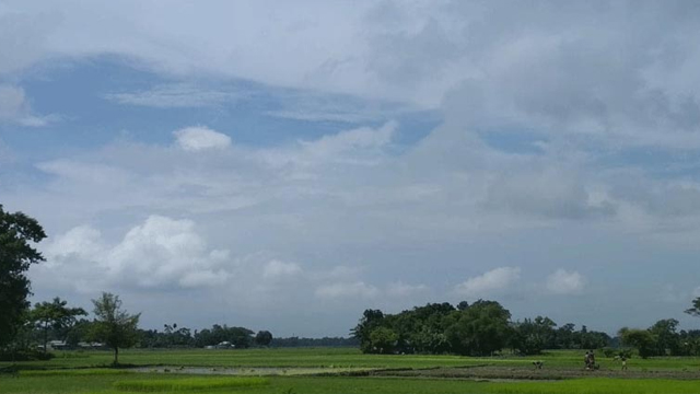 পৃথিবীর ইতিহাসে দৈনিক গড় তাপমাত্রার নতুন রেকর্ড