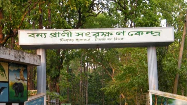 সিলেট ইকোপার্কে ৩৩ পাখির মৃত্যুর বিষয়ে প্রতিবেদন চান হাইকোর্ট